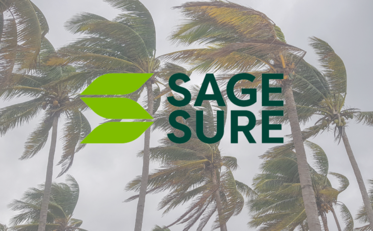  SageSure Successfully Closes US$60 Million Catastrophe Bond for County-Weighted Wind Cover